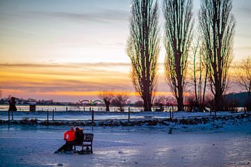 Winter 2021 in Oosterbeek van Sébastiaan Stevens