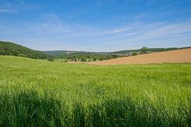 Felder und bewaldete Berge eines Mittelgebirges in Deutschland
