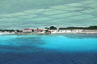 Bonaire, White Slave with the old salt works. by Silvia Weenink thumbnail