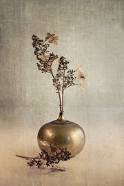 Hortensia. Zachte trots. Grijs. Beige. van Alie Ekkelenkamp