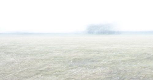 Mais stoppel landschap