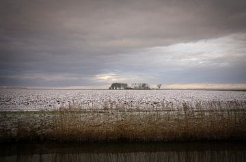 Winter in Pastelkleuren, Noordpolder, Groningen (2) van Bo Scheeringa Photography