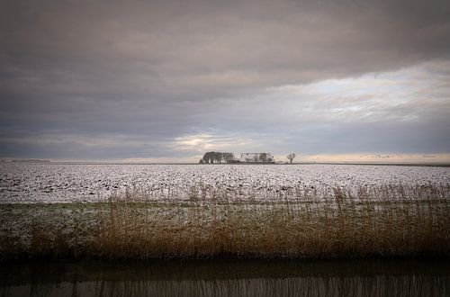 Winter in Pastelkleuren, Noordpolder, Groningen (2)