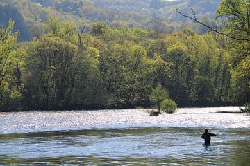 vliegvissen in de Dordogne, Beaulieu sur Dordogne van rémi collot