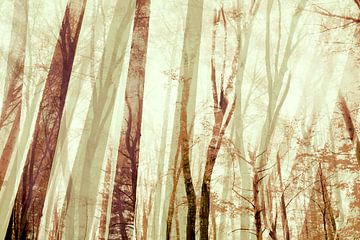 Automne dans la forêt sur FRESH Fine Art