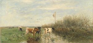 Vaches dans une prairie marécageuse, Willem Mari