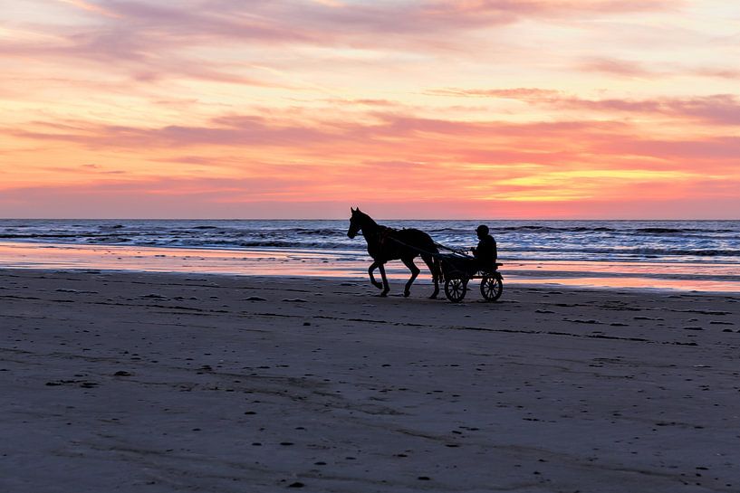 Cheval sur la plage au coucher du soleil par eric van der eijkj