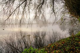 Oude zwembad Sassenheim van Dirk van Egmond