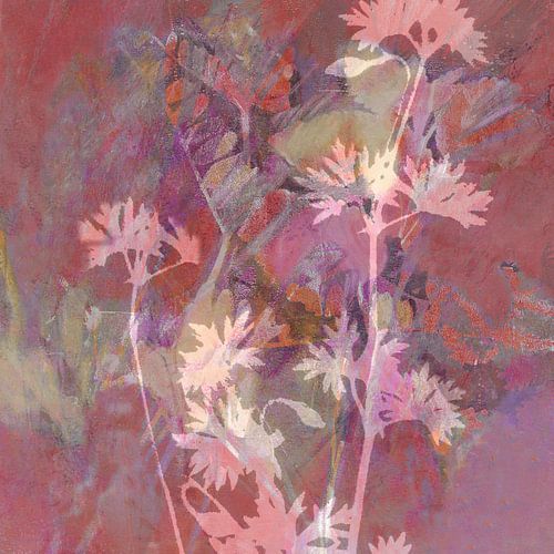 Plantkunde met geranium