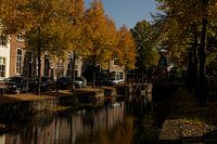 Herfstkleuren in Amersfoort