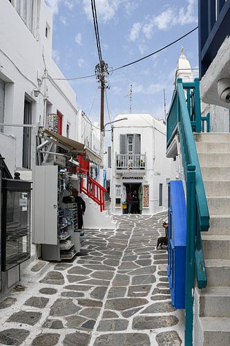 Ruelles blanches de Mykonos
