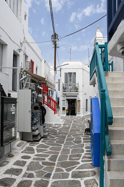 Witte steegjes van Mykonos van Robert Styppa