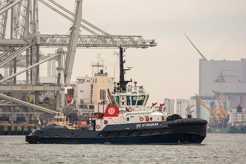 Sleepboot Stingray varend op de Maasvlakte haven Rotterdam. van scheepskijkerhavenfotografie