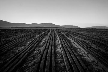 Reihen von Torfmooren trocknen aus von Bo Scheeringa Photography