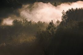 Quintelooijen I sur Sander Peters