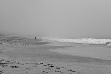 Au bord de la mer sur Zachary Tell