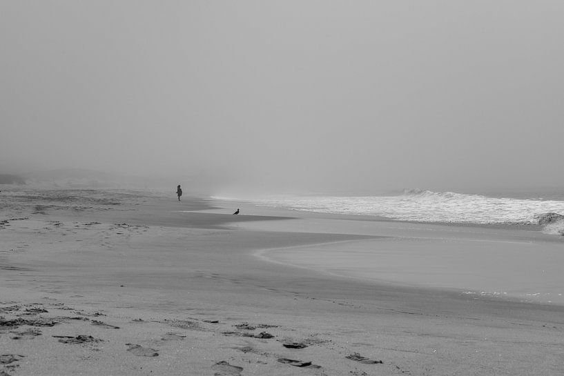 By the sea by Zachary Tell