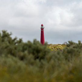 Schiermonnikoog – Blick auf den Leuchtturm von Dan Photo Shaman