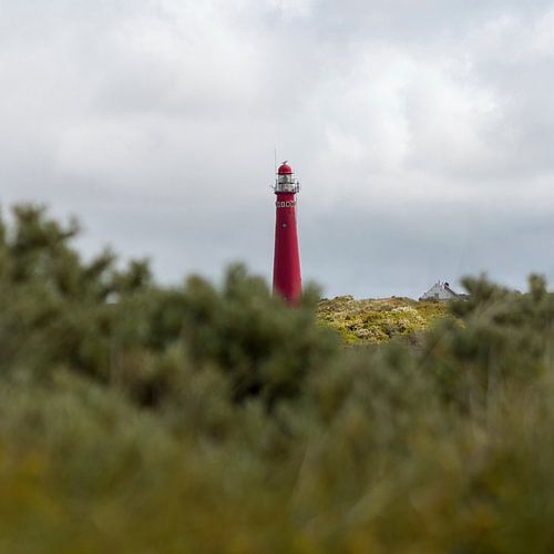 Schiermonnikoog – A glimpse of the lighthouse