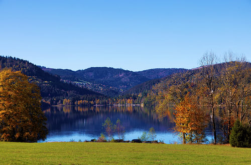Herbstliche Landschaftsansicht des Titisees im Schwarzwald