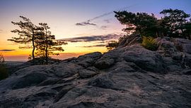 Steine an der Teufelsmauer von Steffen Henze