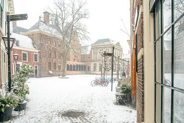 Leiden in de sneeuw