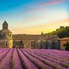Abtei von Senanque und Lavendel. Frankreich von Stefano Orazzini