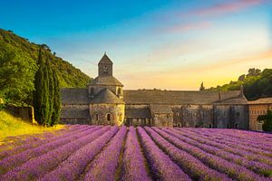 Abdij van Senanque en lavendel. Frankrijk van Stefano Orazzini