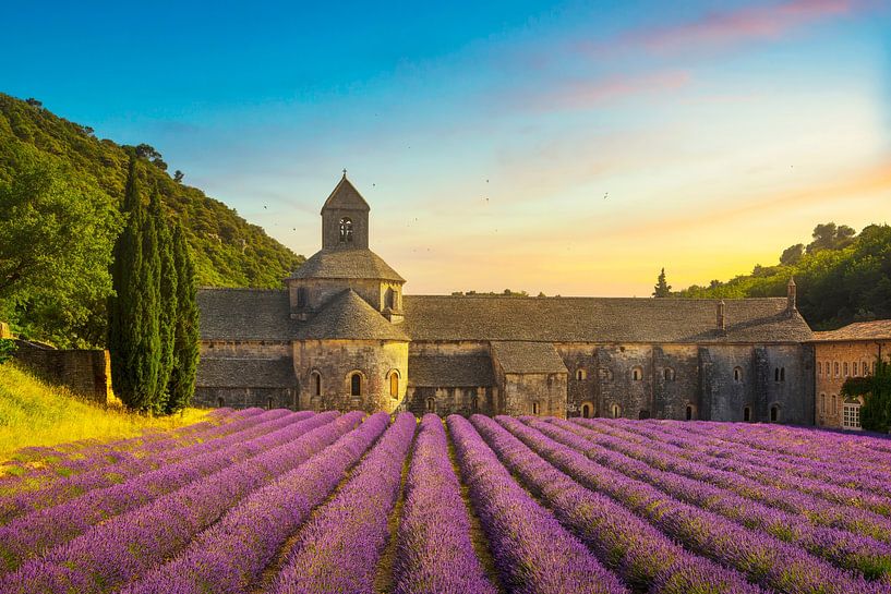 Abbey of Senanque and lavender. France by Stefano Orazzini