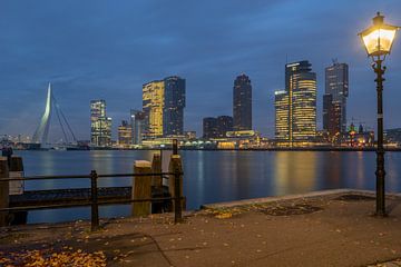 Rotterdam, de poort van Europa. van Harmen Goedhart