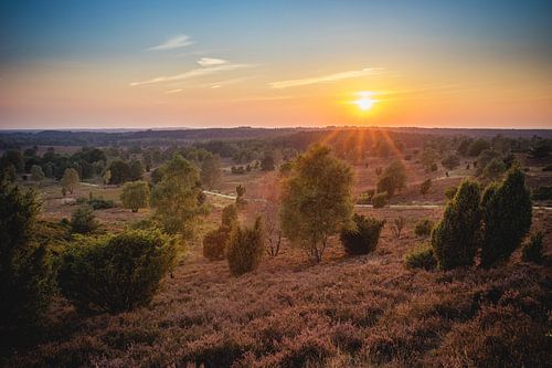 Wilseder Berg | Zonsondergang op de Lüneburger Heide