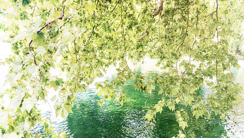 Aare