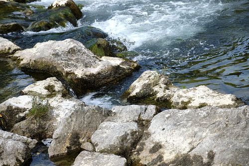 Mousse en continu sur Richard Schröder
