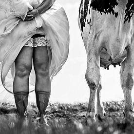 La vache et la mariée sur Els Korsten