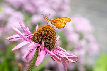 Passionsblumen-Schmetterling von Hennie Zeij