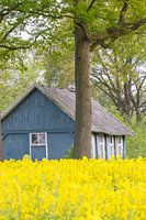 blauw schuurtje