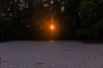 Zonsondergang Zandvlakte Amerongse Berg