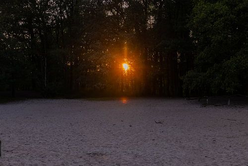 Coucher de soleil Plaines de sable Amerongse Berg