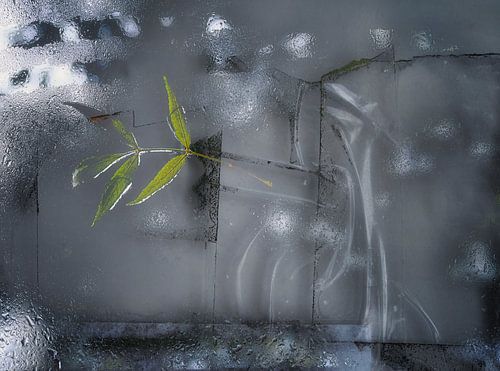 Reflecties van Rust