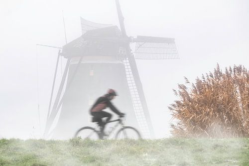 Fietsend in de polder