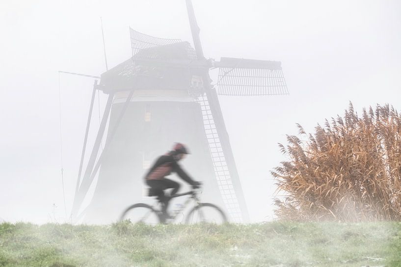 Radfahren im Polder von Arjen Roos