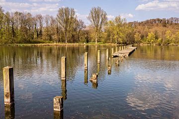 Fishpond Valkenburg by Rob Boon