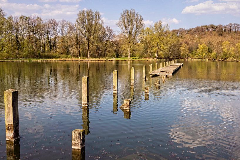 Fischteich Valkenburg von Rob Boon