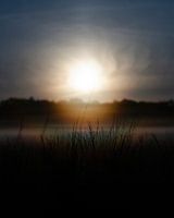 Waterige zonsopkomst boven mistig grasveld