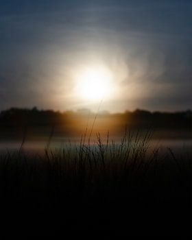 Lever de soleil sur une pelouse brumeuse