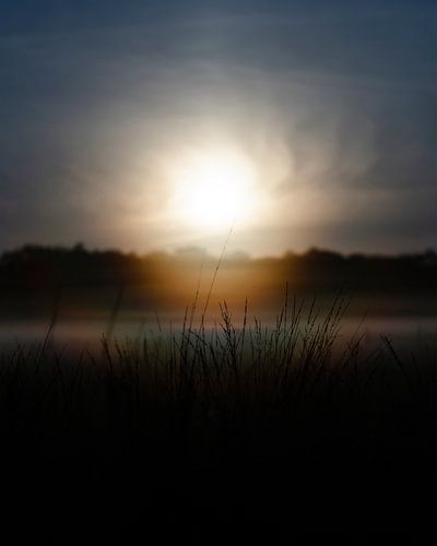 Waterige zonsopkomst boven mistig grasveld