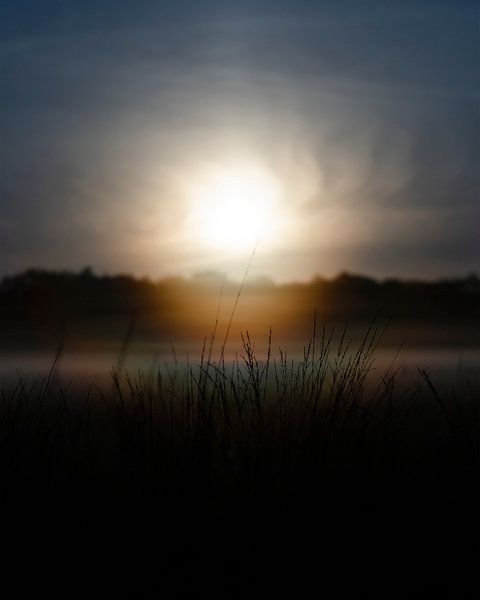 Subtle colorful sunrise over misty field of grass &amp; forest by Laura-anne Grimbergen