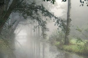 het elfenbos