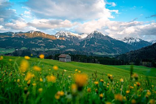 Schilderachtig uitzicht op de lente Allgäu en zijn bergen