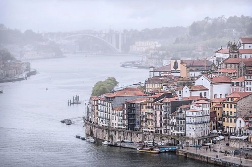 Porto VII
